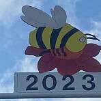 IMG 6772