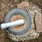 Ausflug Kollhorst Eidechsen5