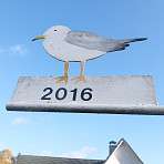 2016 Moewen
